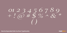 Norche Expanded Italic Thumbnail #4