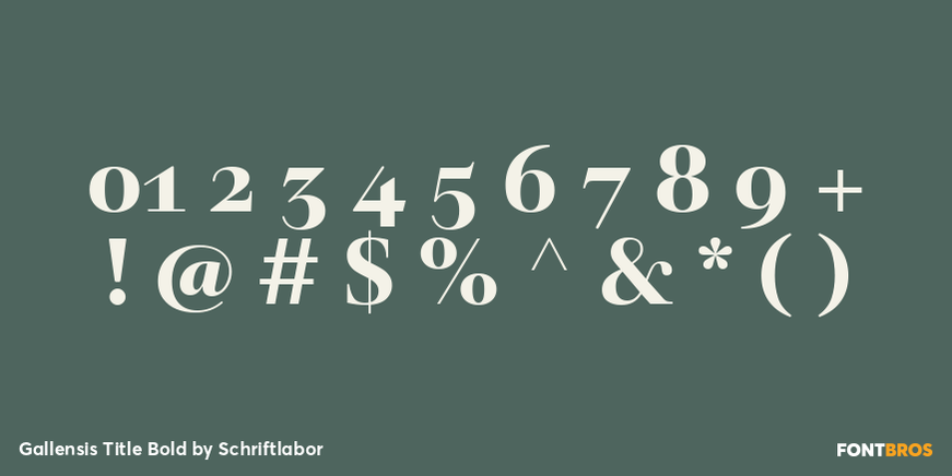 Gallensis Title Bold Font Poster #4