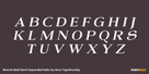 Norche Bold Semi Expanded Italic Thumbnail #2