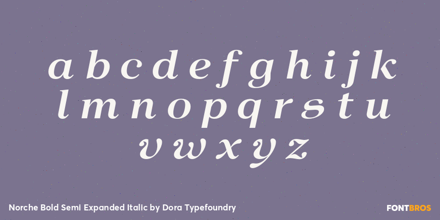 Norche Bold Semi Expanded Italic Font Poster #3