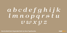 Norche Bold Semi Expanded Italic Thumbnail #3