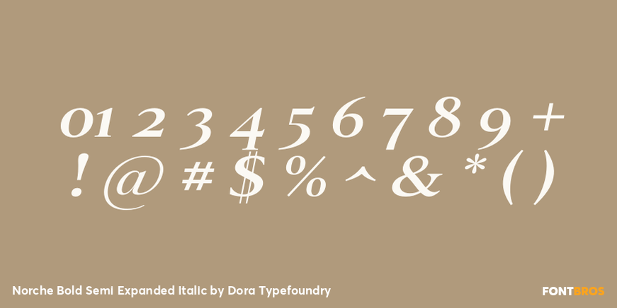 Norche Bold Semi Expanded Italic Font Poster #4