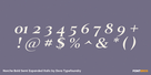Norche Bold Semi Expanded Italic Thumbnail #4