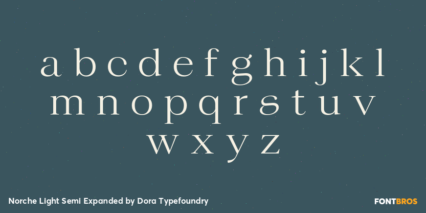 Norche Light Semi Expanded Font Poster #3