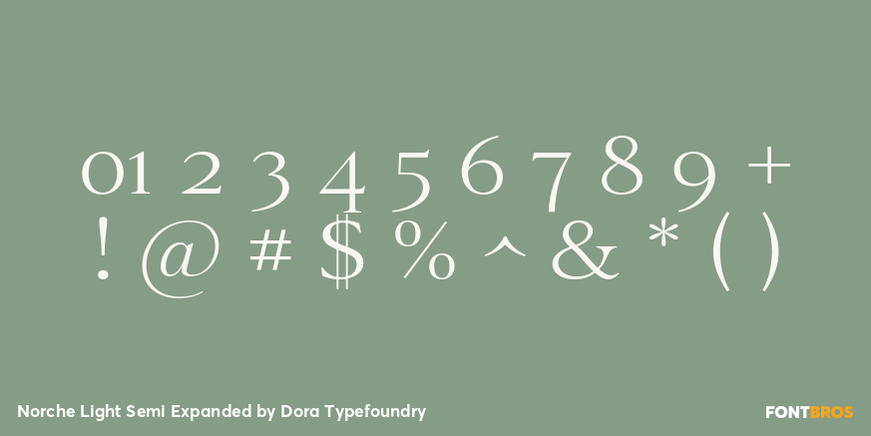 Norche Light Semi Expanded Font Poster #4