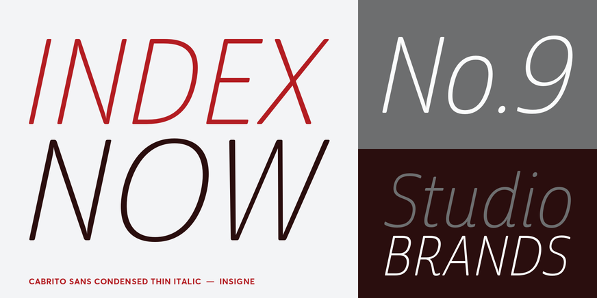 Cabrito Sans Condensed Thin Italic Font Poster #3