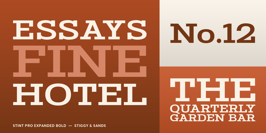 Stint Pro Expanded Bold Font Poster #3