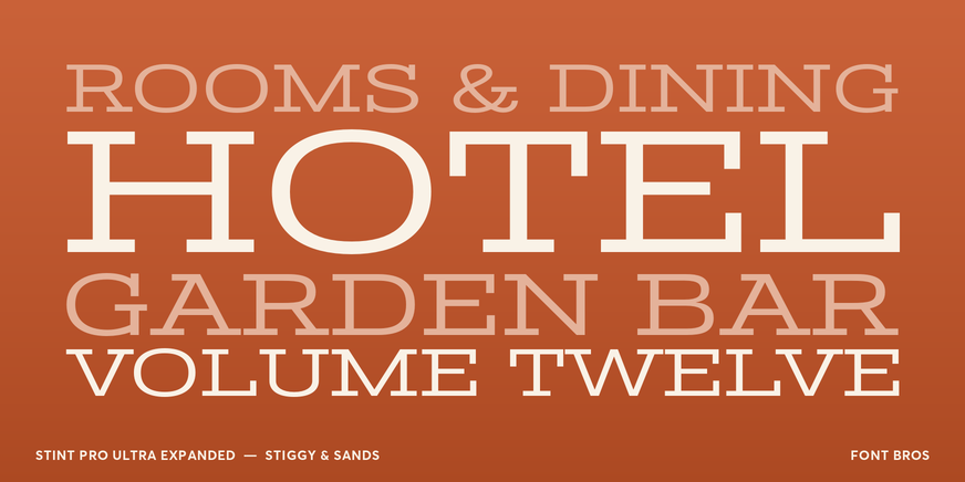 Stint Pro Ultra Expanded Font Poster #2