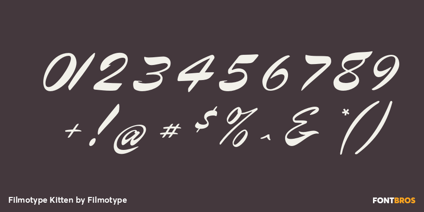 Filmotype Kitten Font Poster #4