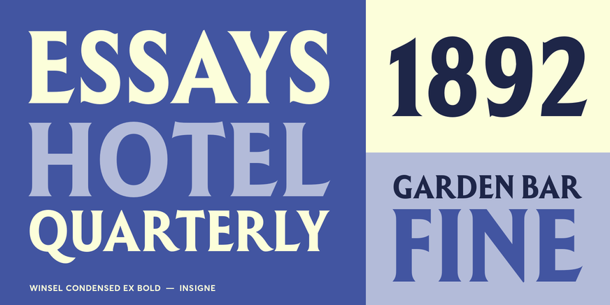 Winsel Condensed Ex Bold Font Poster #3