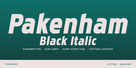 Pakenham Black Italic Thumbnail #1