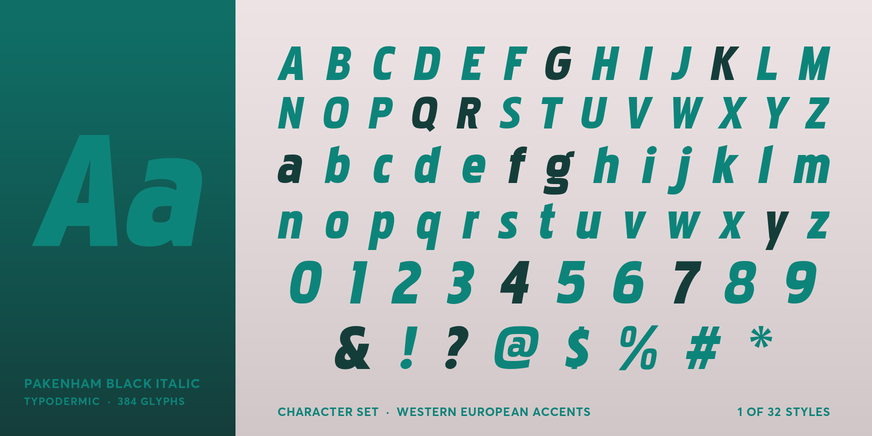 Pakenham Black Italic Font Poster #4