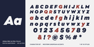Zona Pro Ultra Italic Thumbnail #4