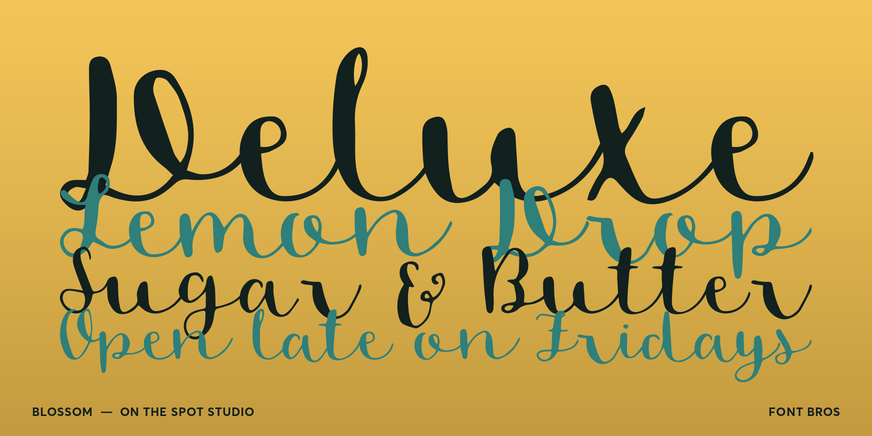 Blossom Font Poster #2