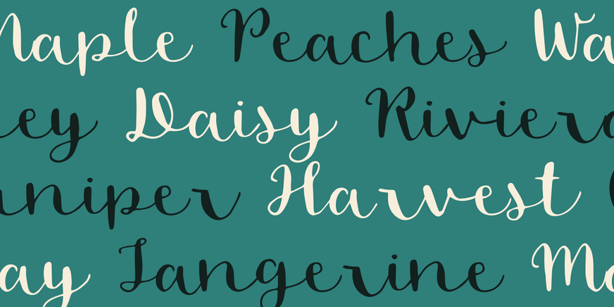 Blossom Font Poster #3