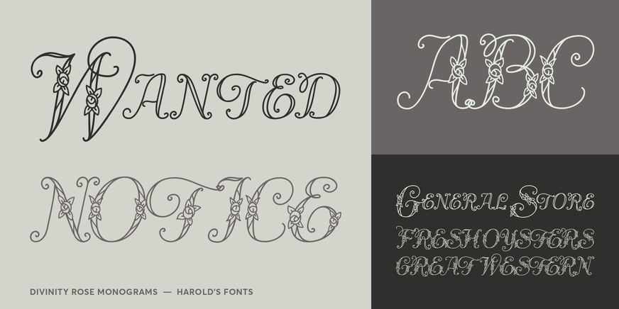 Divinity Rose Monograms Font Poster #3