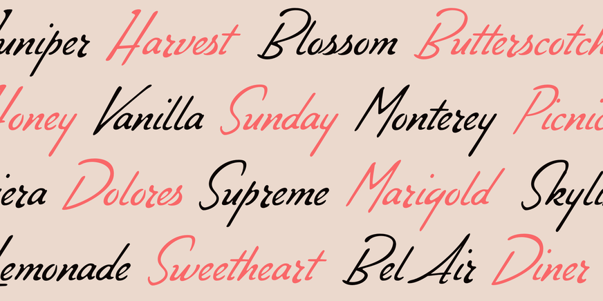 Compliments Regular Font Poster #3