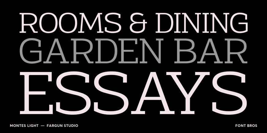 Montes Light Font Poster #2