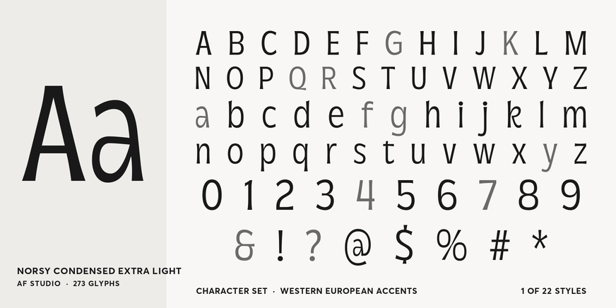 Norsy Condensed Extra Light Font Poster #4