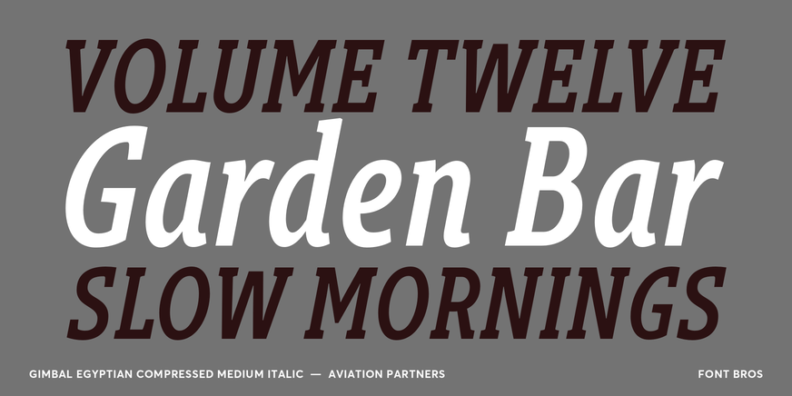 Gimbal Egyptian Compressed Medium Italic Font Poster #2