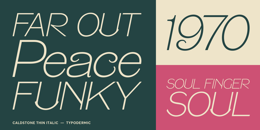 Caldstone Thin Italic Font Poster #3