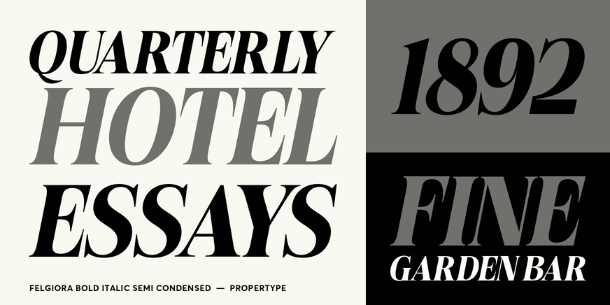 Felgiora Bold Italic Semi Condensed Font Poster #3