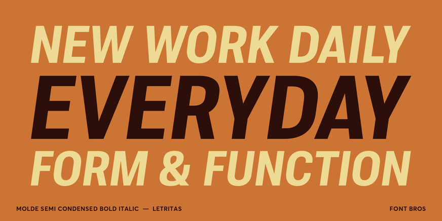 Molde Semi Condensed Bold Italic Font Poster #2