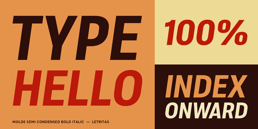 Molde Semi Condensed Bold Italic Font Poster #3